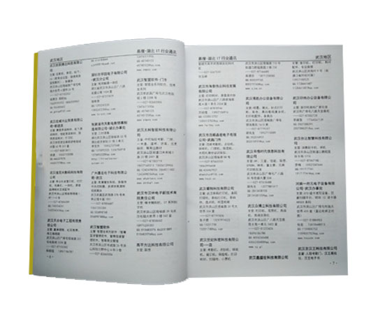 2020版湖北IT通讯录内芯